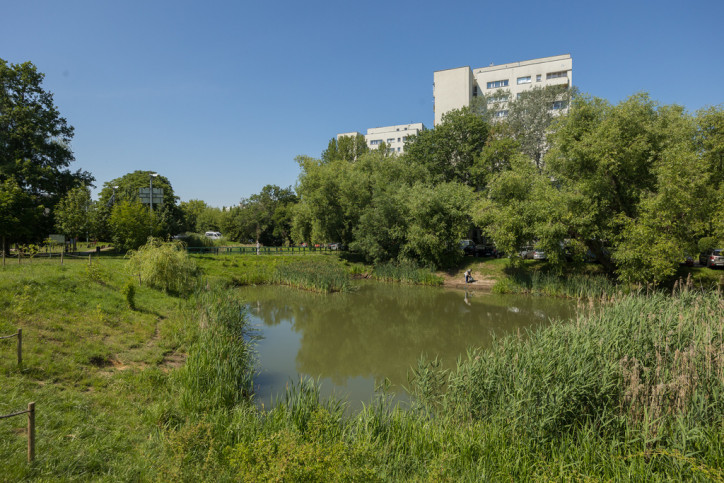 Mieszkanie Sprzedaż Warszawa Żoliborz Włościańska 17