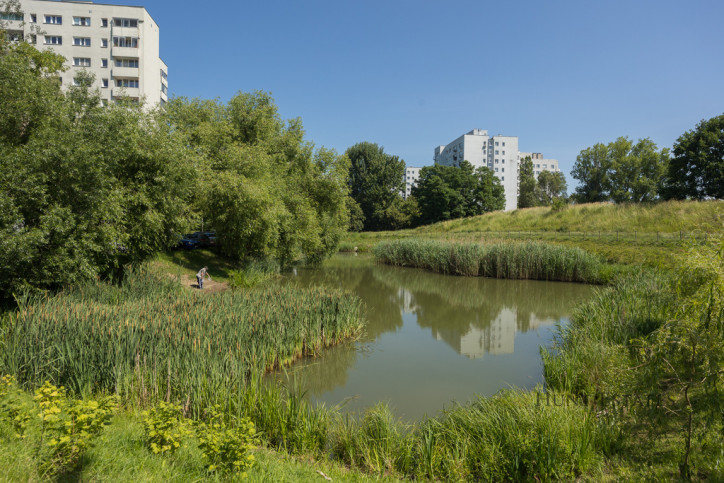 Mieszkanie Sprzedaż Warszawa Żoliborz Włościańska 10