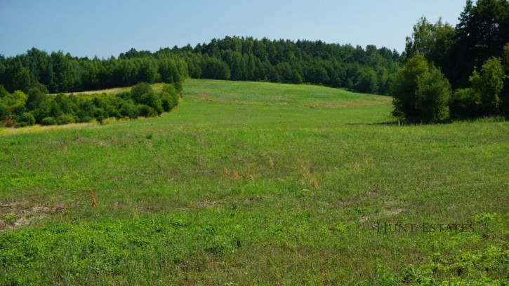 Działka Sprzedaż Wojtkowizna 3