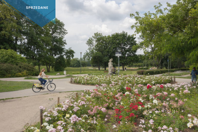 Mieszkanie Sprzedaż Warszawa Ochota Aleja Niepodległości 221
